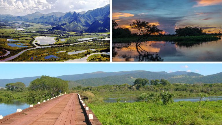 Turismo no Pantanal combina natureza, cultura e experiências no Mato Grosso e no Mato Grosso do Sul