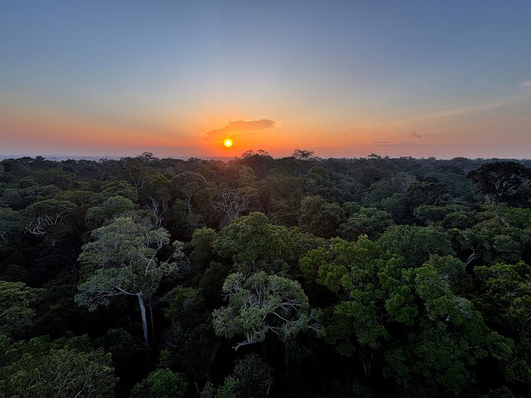 Rádio Nacional do Alto Solimões destaca Dia da Amazônia nesta sexta (4)