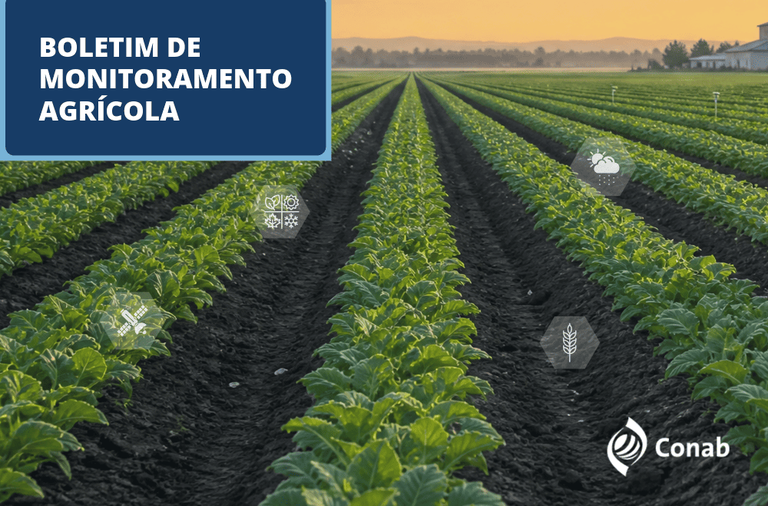 Em diversas frentes, safra 2026/2027 começa a avançar com apoio das chuvas