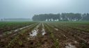 Em ano de El Niño, Embrapa apresenta 163 medidas para gestão de riscos climáticos no campo
