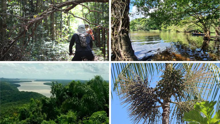 Trilha Amazônia Atlântica impulsiona ecoturismo no Pará, em corredor de Belém à Serra do Piriá
