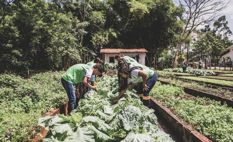 Governo aprimora compra de alimentos da agricultura familiar para a merenda escolar