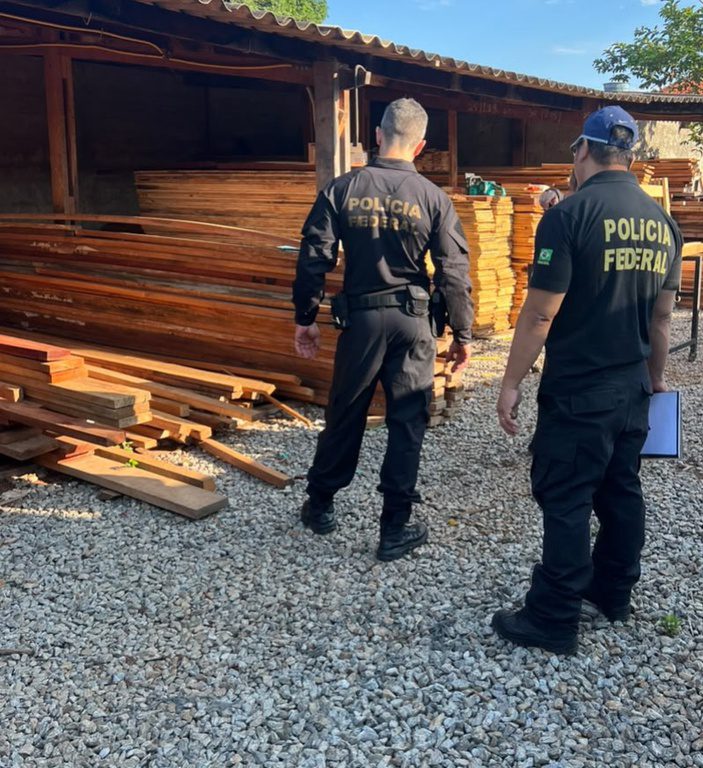 PF deflagra operação contra comércio ilegal de madeira nativa em três estados
